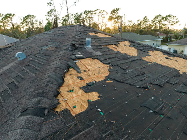 Best Roof Maintenance and Cleaning  in Avon, IN