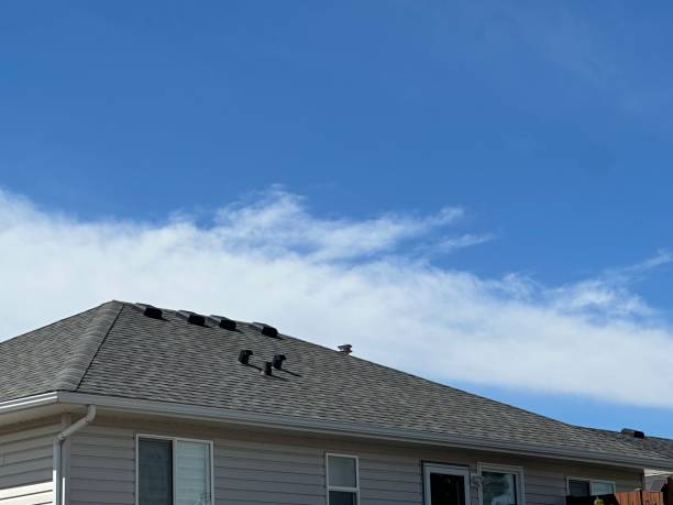 Best Roof Coating and Sealing  in Avon, IN